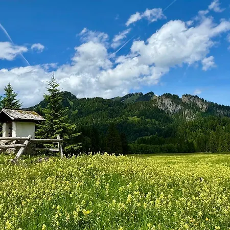Gasthof Hirschen Πανσιόν Sibratsgfäll