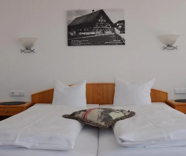 Hirschen 3* Sibratsgfall